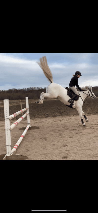 Inlägg 65 av Allround