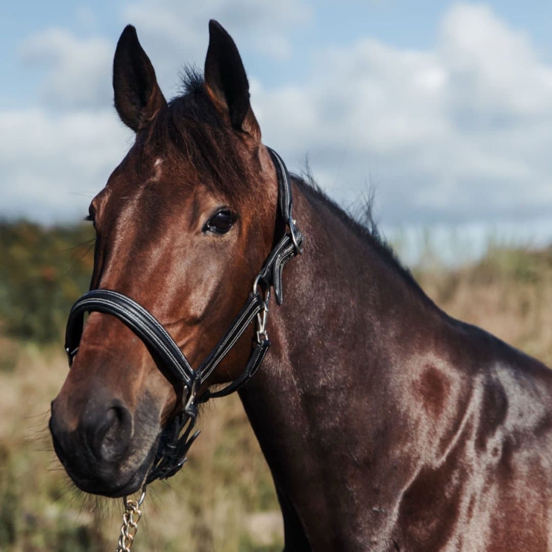 Bild 1 av Center Bus