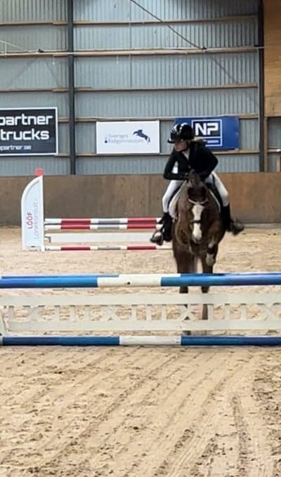 Inlägg 127 av Hoppning