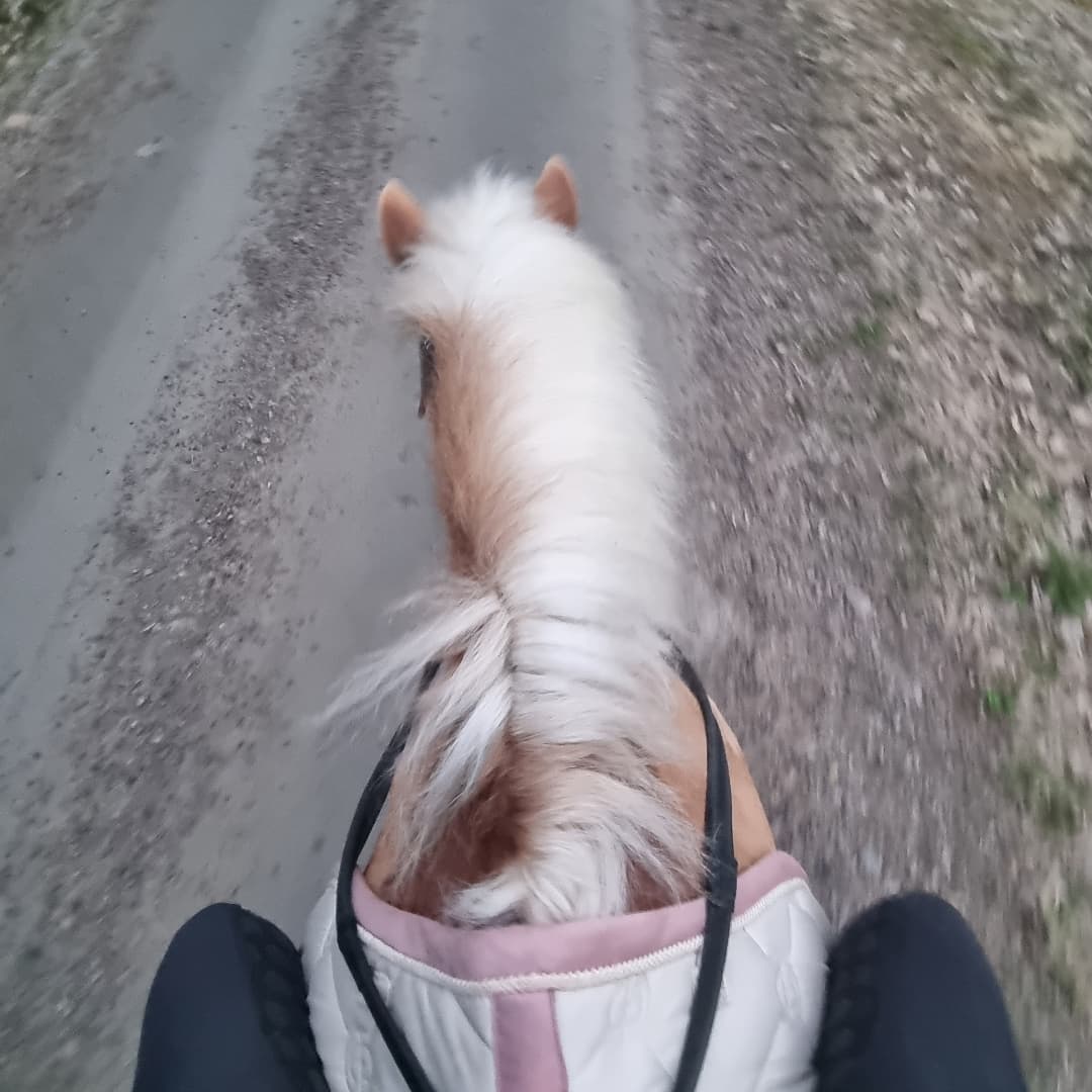 Bild 1 av Ural