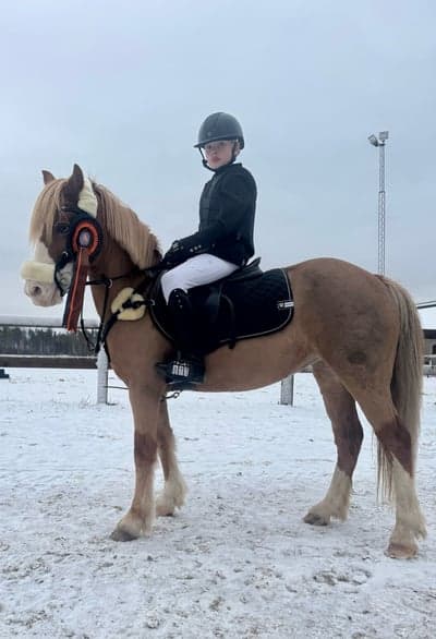 Inlägg 13 av Hoppning med titeln Hopptävling 