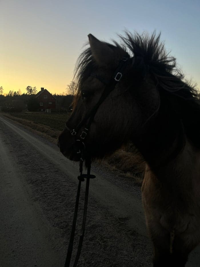 Media 2 av Orka Från Stenbacken