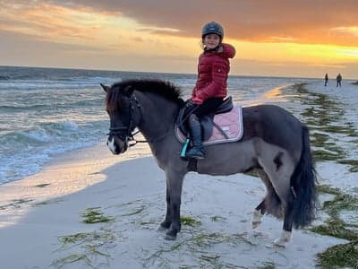 Inlägg 34 av Allround med titeln Underbara Cookie och Annabel fångar solnedgången! 