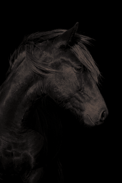 Min Lilla Galaxia