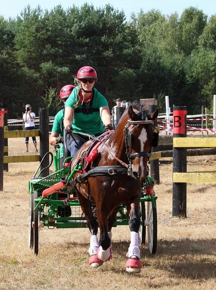 Media 1 av Dycott Lightning Jack