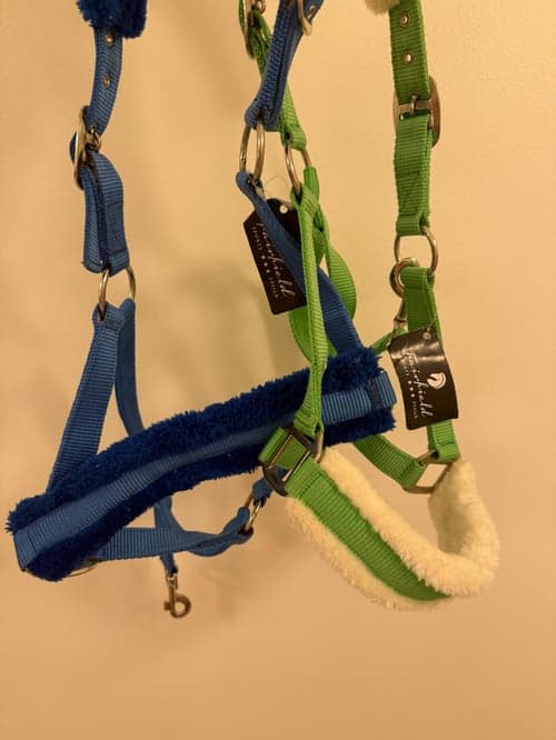 Image of Blått och grönt grimma