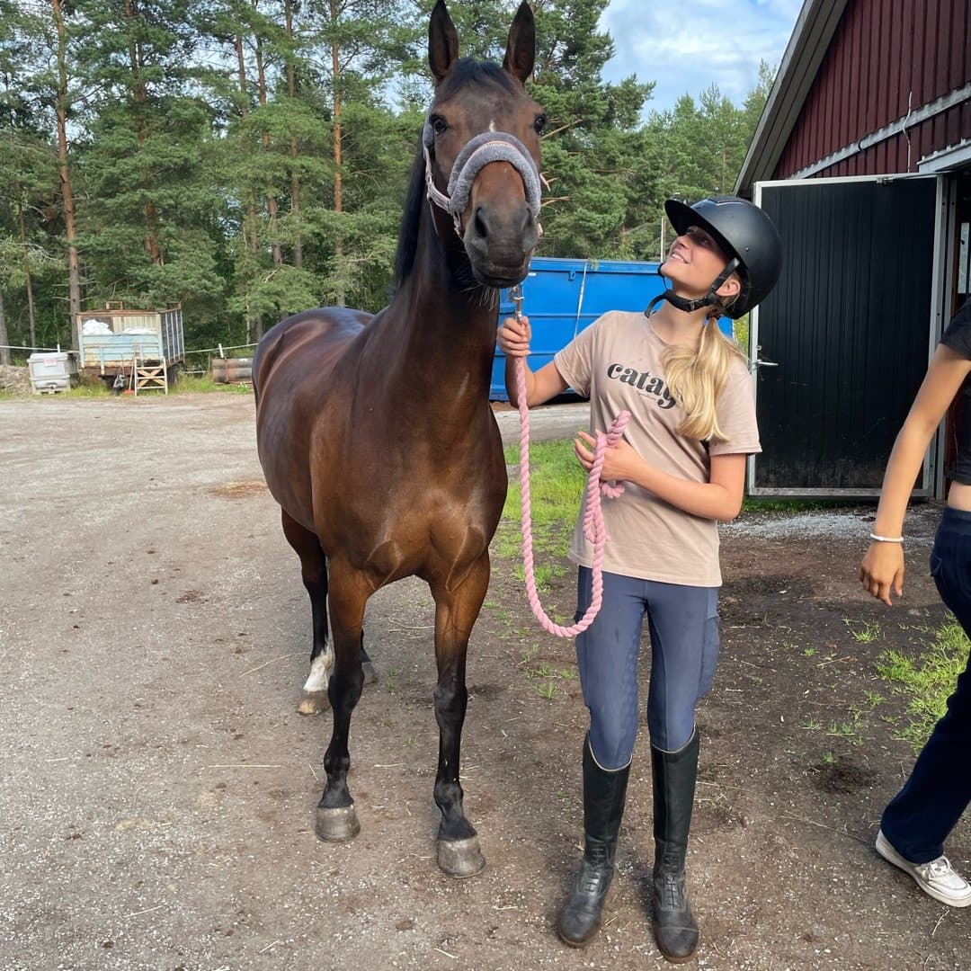 Bild 1 av Tequila sunrise