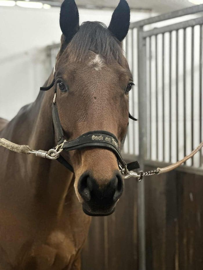 Media 2 av Lovande 4-åring!