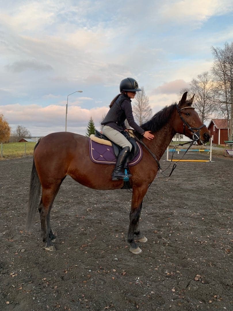 Bild 1 av Campell J.P.