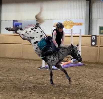 Bild 1 av Bella noche