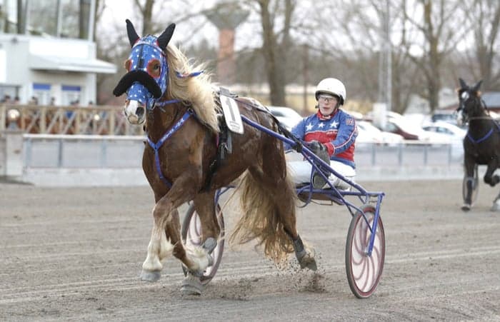 Media 1 of Åsåtrava