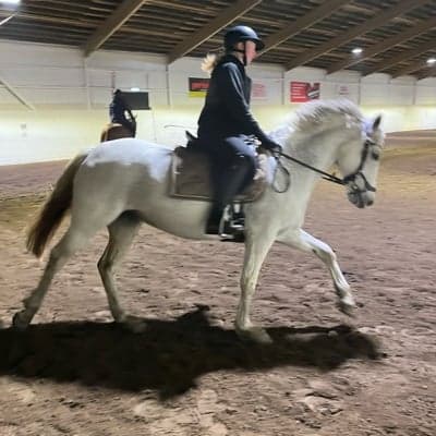 Profilbild av Ester Hallgren