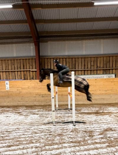 Inlägg 45 av Allround