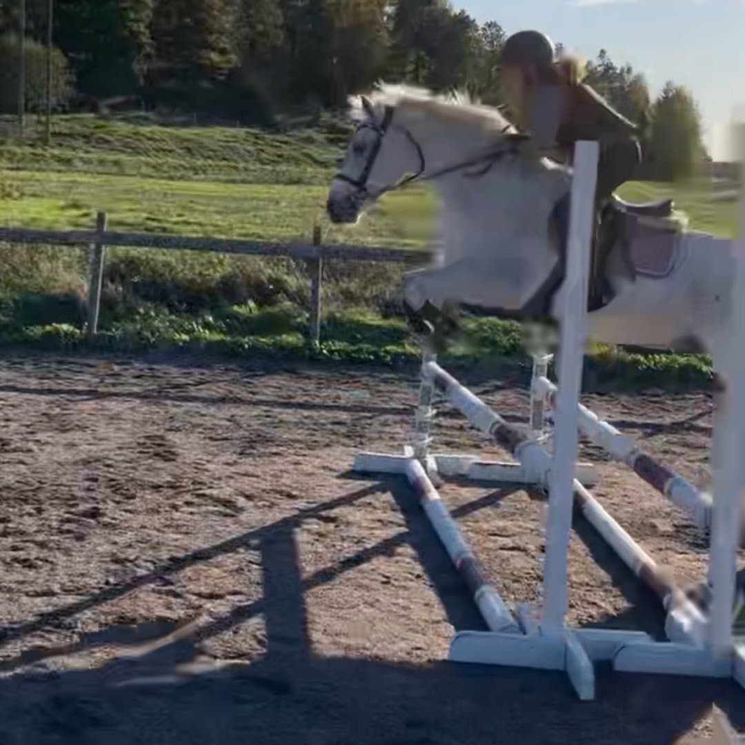 Image 1 of Parc silver bracken