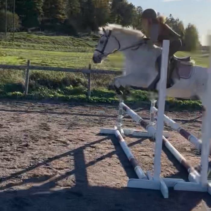 Media 1 of Parc silver bracken