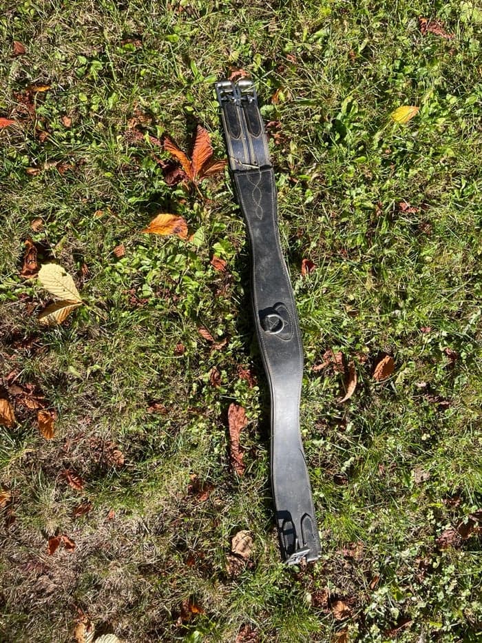 Media 1 av Svart girth