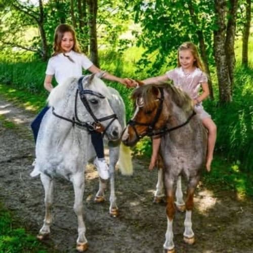 Profilbild av Cecilia Juréen