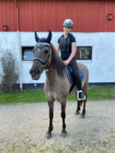 Post 4 of Kiger Mustang with title Hipp hipp hurra! För jag har en 6åring idag!