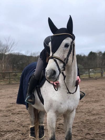 Inlägg 56 av Allround