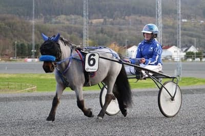 Inlägg 17 av Trav med titeln DPK’s ponnytravgala 2023 🏆