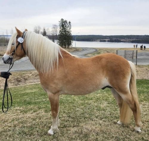 Bild av Trevlig kille 