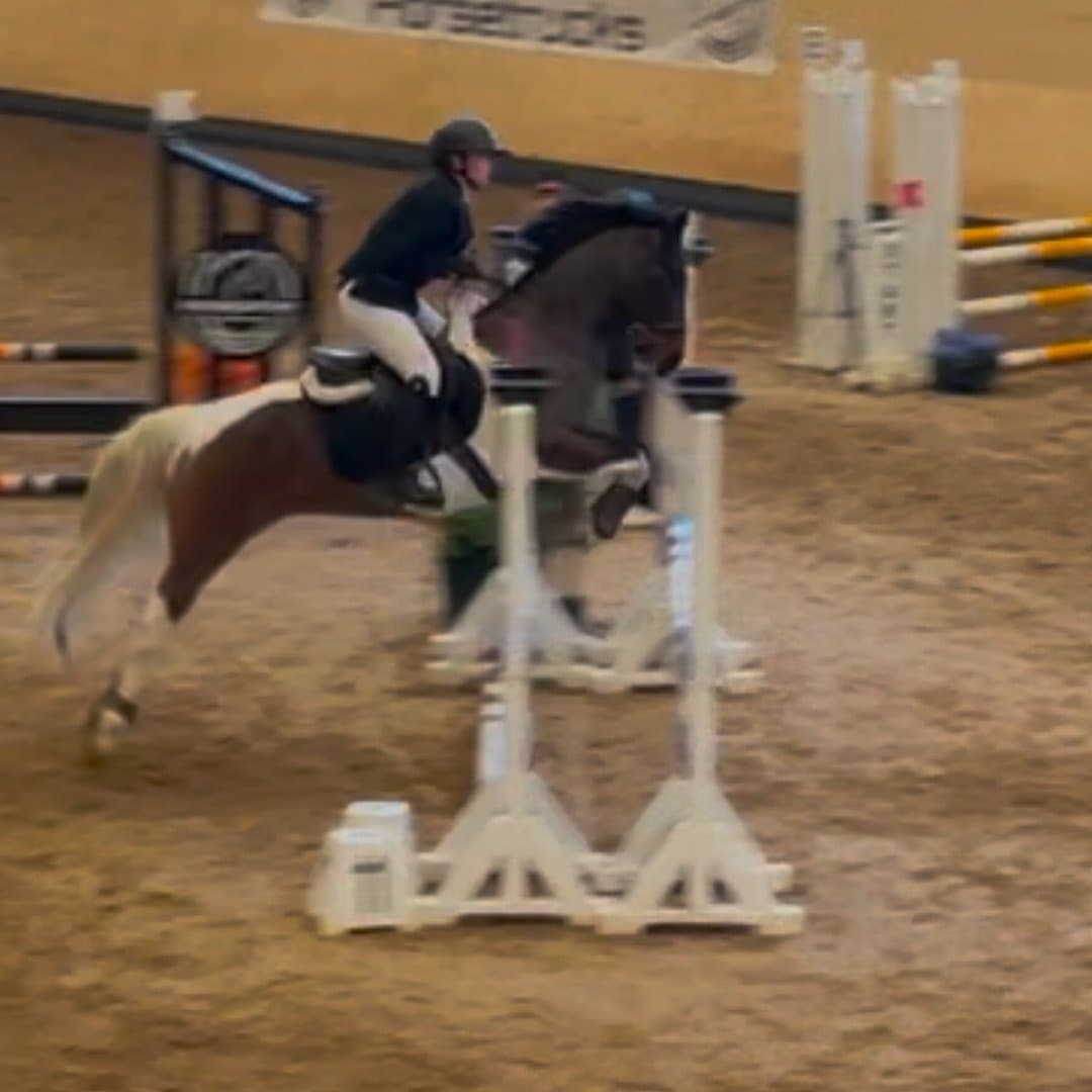 Bild 1 av Fallen angel