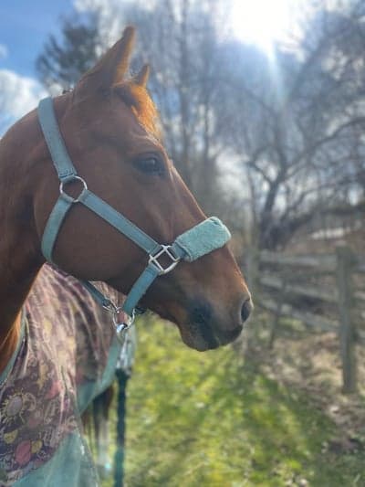 Inlägg 80 av Allround