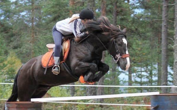 Media 1 av Idenors Oliver