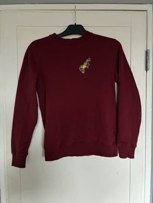 Bild av Vinröd tröja från Get the gallop 