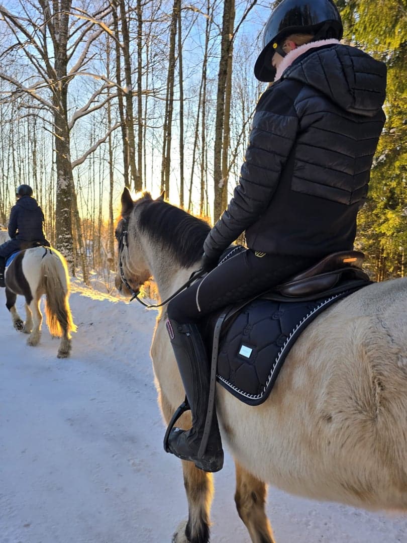 Bild 1 av Hwylog Edwin