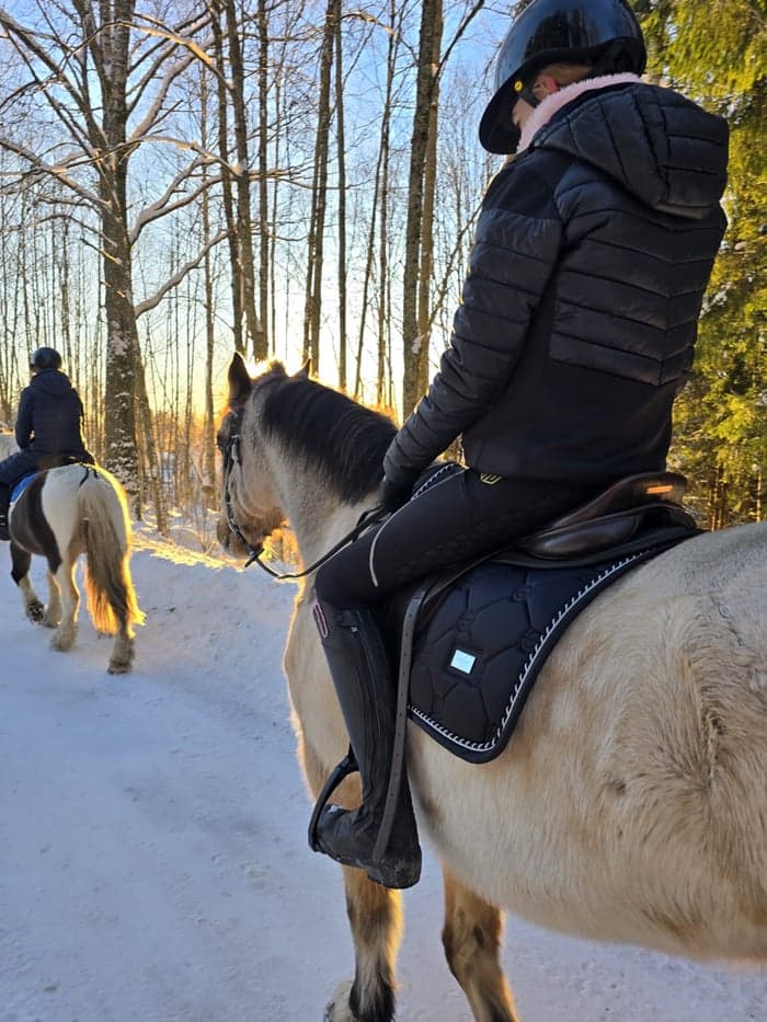 Media 1 av Hwylog Edwin