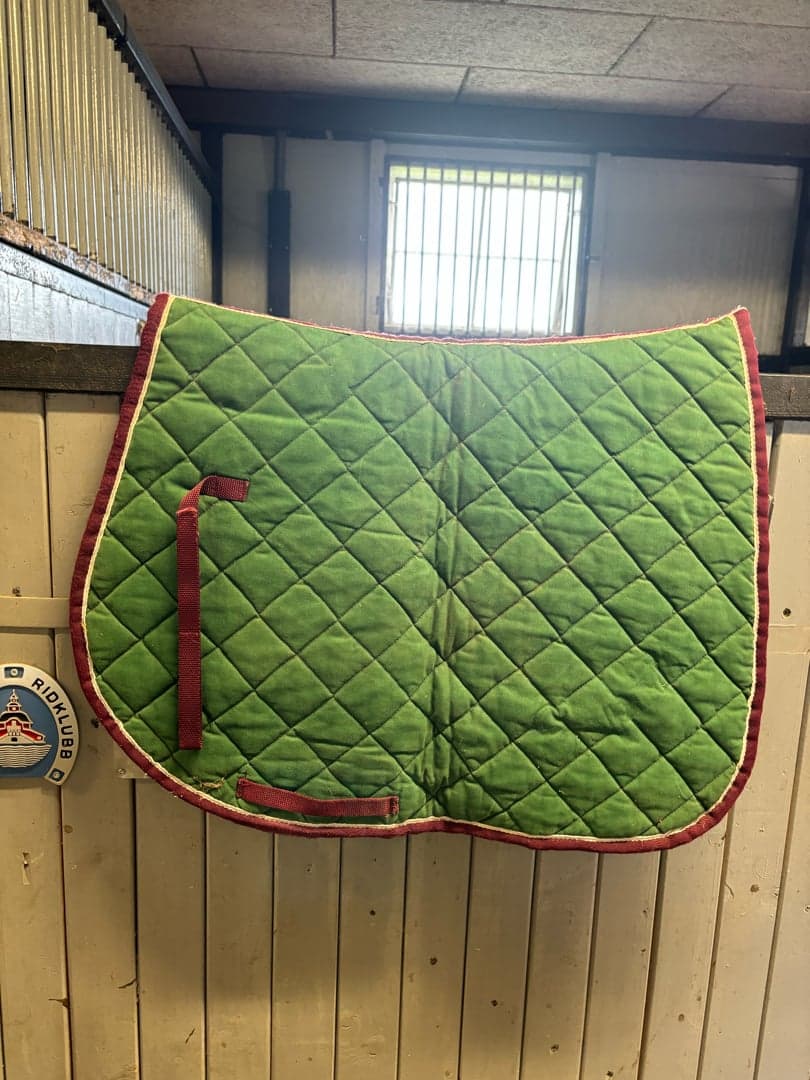 Image 1 of Grönt schabrak