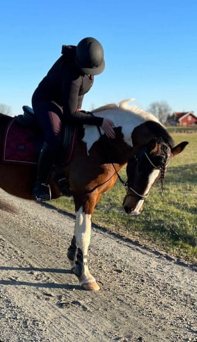 Inlägg 106 av Allround