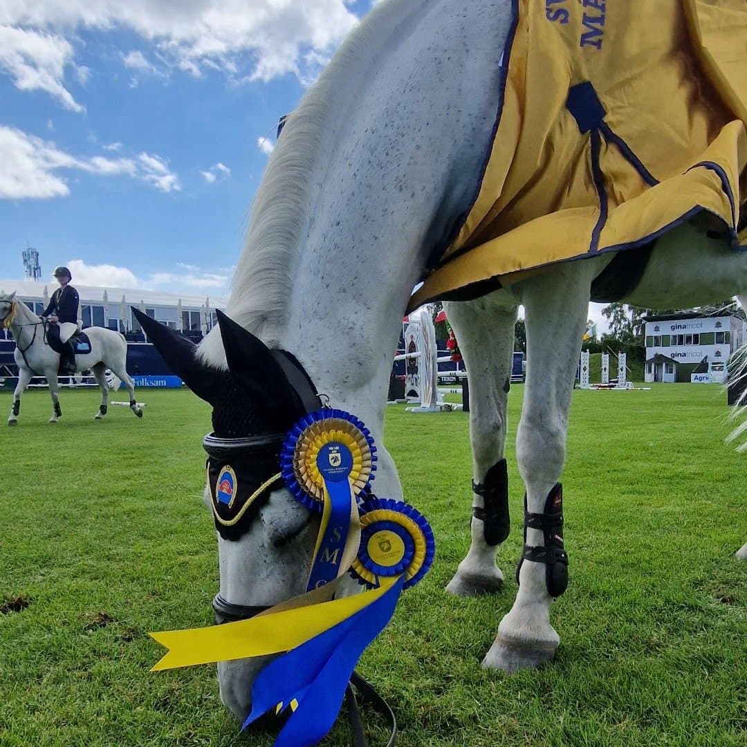 Image 1 of Attyrory melody