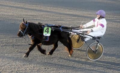 Inlägg 121 av Trav med titeln DPk’s Ponnytravgala