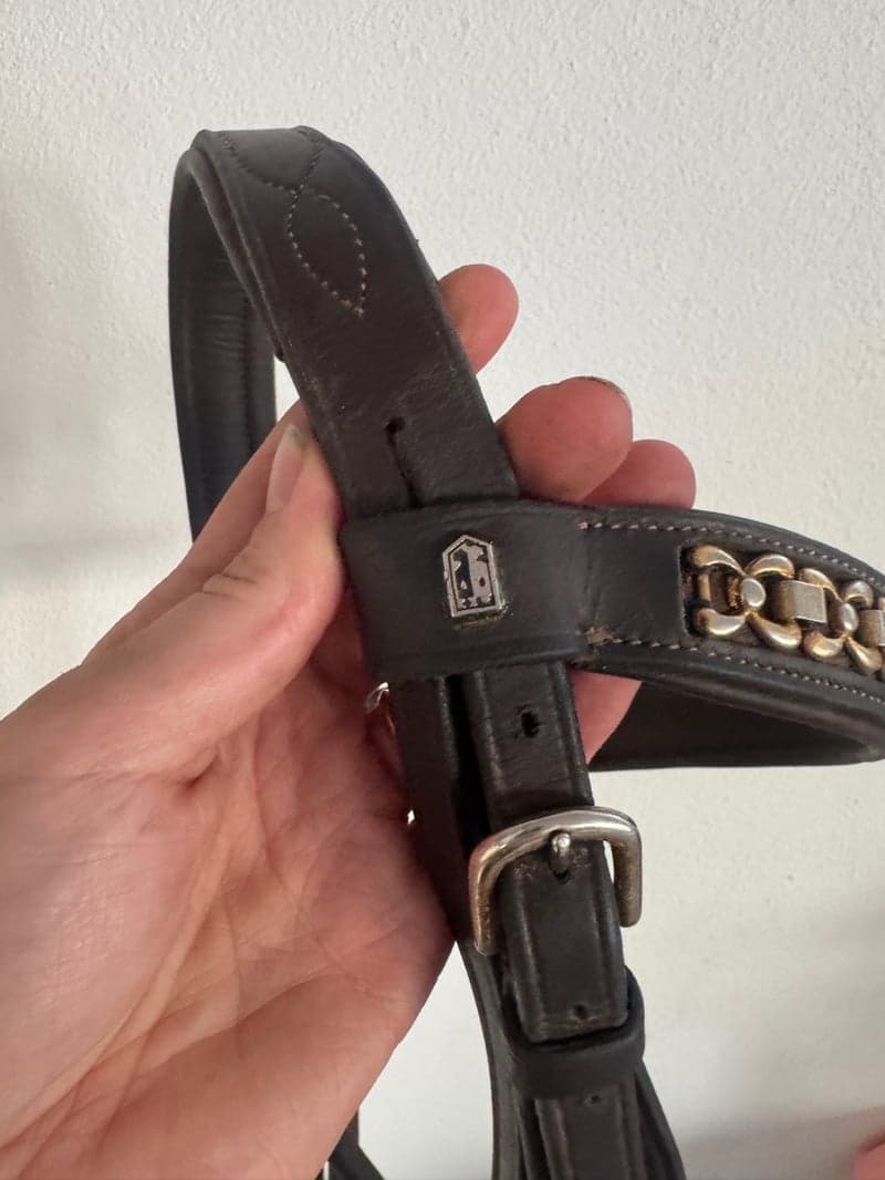 Bild 3 av Ponnyträns från tredton