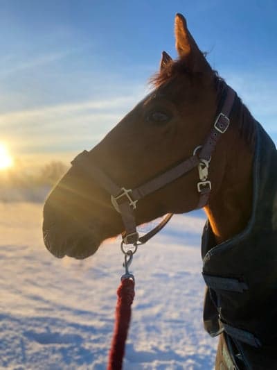 Inlägg 164 av Allround