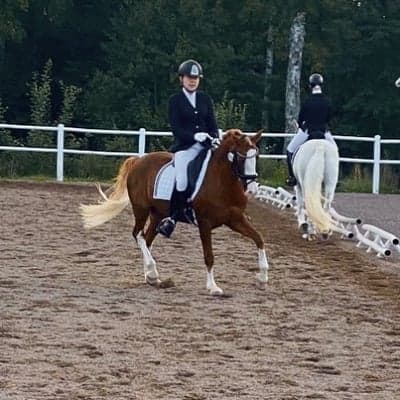 Inlägg 27 av Dressyr med titeln Andra plats fei lagpogram med 68%🥳