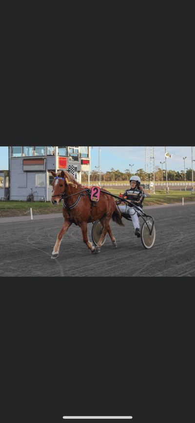 Putt i lummen