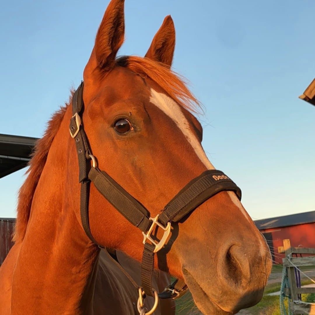 Bild 1 av Yes Vanish Oxi Extra