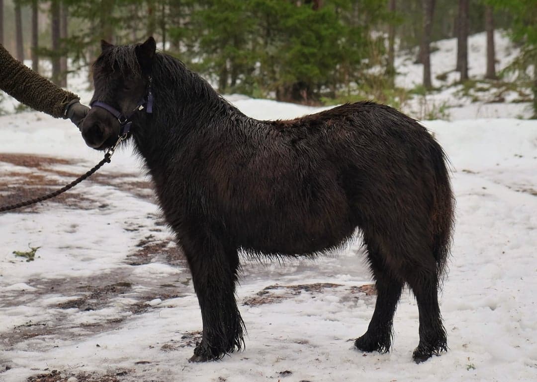 Bild 1 av Furunäs Design