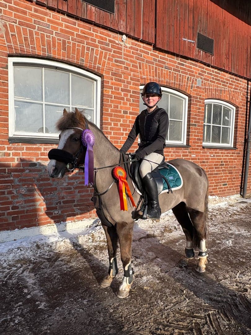 Image 1 of Arhults Felizia