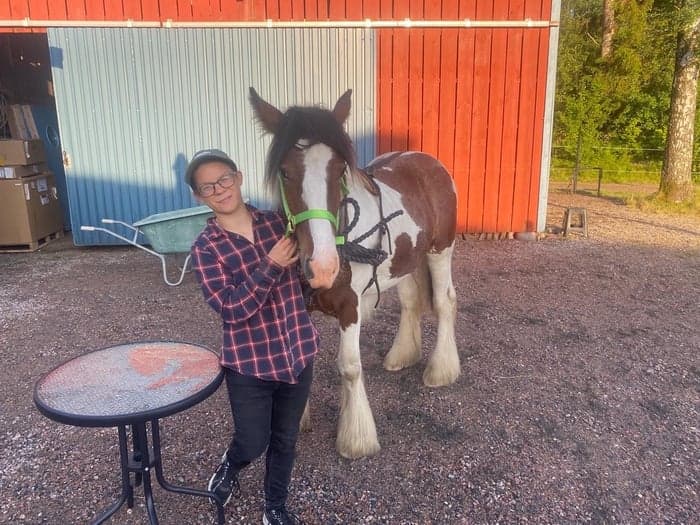 Media 1 of Little big rob roy