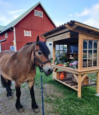 Inlägg 76 av Allround