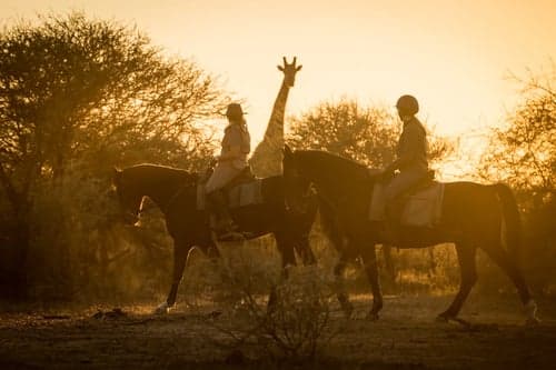 Utforska Tuli Block till häst – 7-nätters ridsafari i Botswana