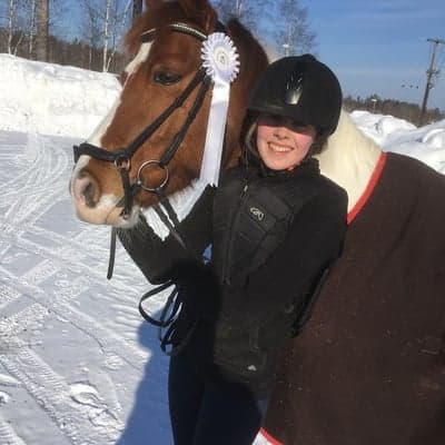 Inlägg 6 av Morganhäst med titeln Kalippo flyttade hem till oss❤️