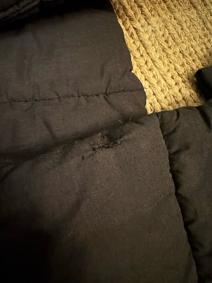 Media 4 av Mörkblå benpaddar 