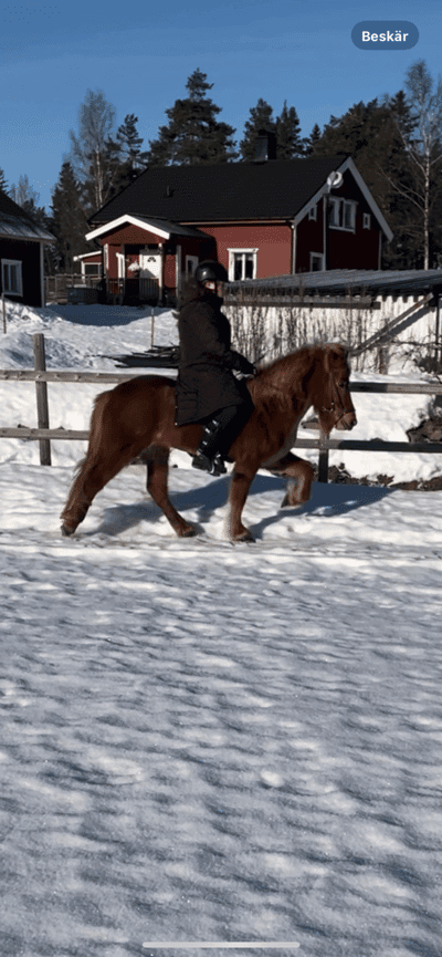 Inlägg 31 av Island med titeln Välkommen hem💓