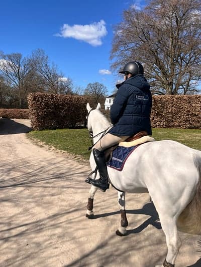 Inlägg 10 av Connemara med titeln ⭐️