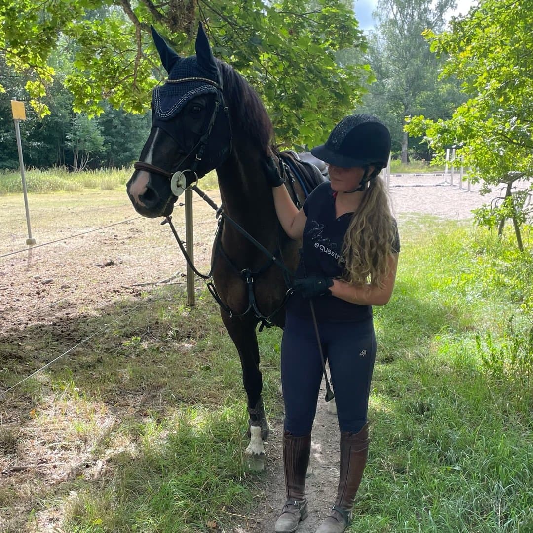 Bild 1 av Grison VD Tojope Hoeve Z